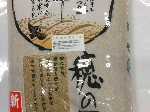 令和5年産 ミルキークイーン 石川県産 玄米 10kg