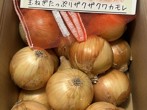 淡路島の玉ねぎ5kg【ひょうご安心ブランド認証・特別栽培・農薬化学肥料50%減】中生・晩生 加熱で甘みたっぷり