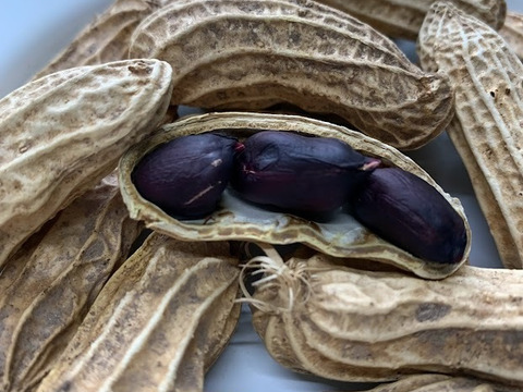 京都府京丹後産　ブラックピーナッツ入り煎りピーナッツ　自然栽培　1袋１８０ｇ×2パック