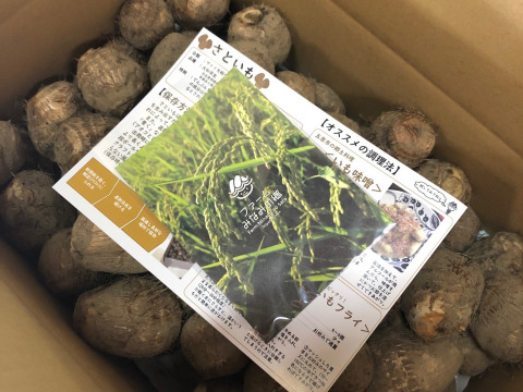 【訳あり】＊数量限定【新潟県特別栽培認証】五泉産 大玉さといも5kg(2L以上）