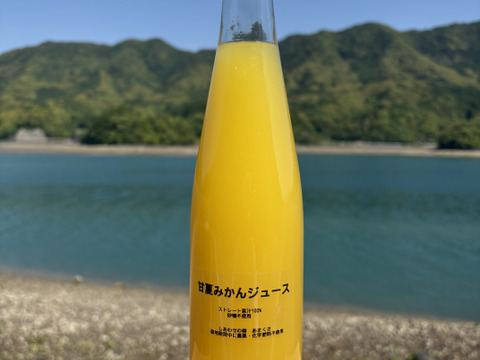 生搾り果汁100%ストレートジュース（熊本特産 甘夏みかん）栽培期間中農薬、化学肥料不使用 2本（1本500ml）