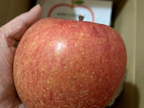 ※家庭用※葉取らずふじりんご🍎大玉3キロ箱入り