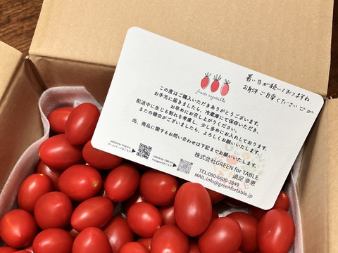 ★野菜ソムリエサミット2025金賞受賞商品★高糖度！【マスカットのようなフルーツトマト】ママ姉妹が作る〝美甘トマト〟　1キロ