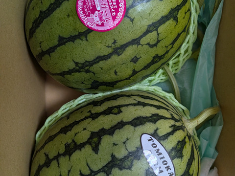 【極み小種】小玉スイカ🍉ピノガール2玉セット