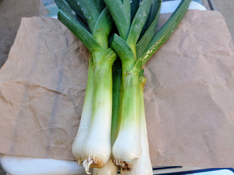 今だけ贅沢野菜！葉ニンニク1kg：千葉県産のその他ニンニク