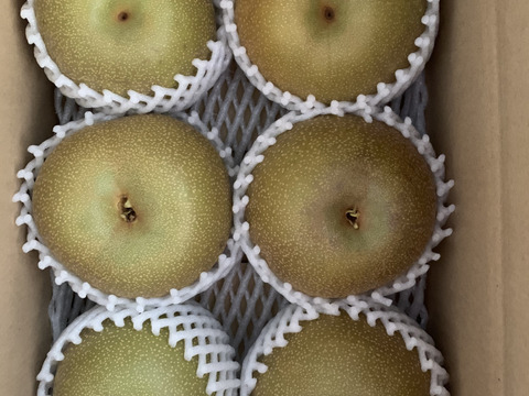 【期間限定】【熊本県産】豊水梨　3キロ