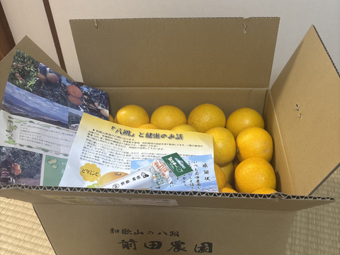 【福袋】和歌山県産【特別栽培】【極ウマ糖度13.2度】　八朔(箱込み10kg)Sサイズ