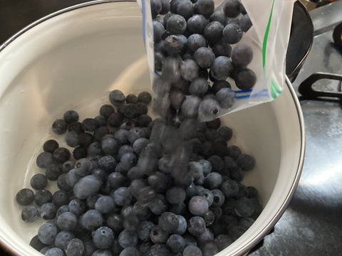 【期間限定値下げ】ジャムを作ろう！健康生活！お値打ち冷凍ブルーベリー（500g×2パック）【栽培期間中農薬不使用】