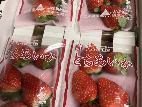 (4P)約1kg【いちご・とちあいか】実がしっかりして酸味が少なく甘さが際立つ新品種★「とちあいか」(４パックx260g) 栃木県産いちご●一番人気いちごセット●お届け日指定可