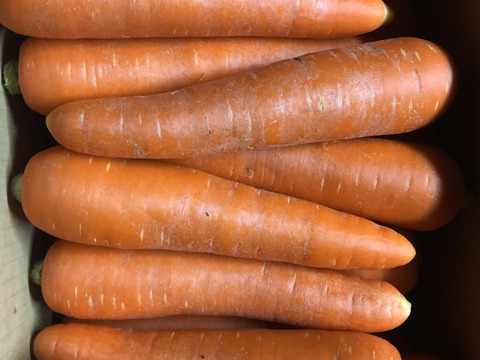 農薬・化学肥料不使用！今が旬‼️A品2Lサイズ10kg