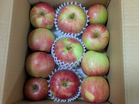 信州りんご🍎小玉４キロパック詰め