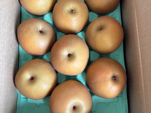 【南水3ｋｇ】糖度15°、超甘い、シャリ感、硬い、ジューシー、日保ちする信州生まれの優れもの！⑨【秀品】