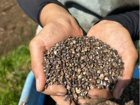 ナッツの香り！天日干し自然栽培『蕎麦粉』南阿蘇村在来種（500g）