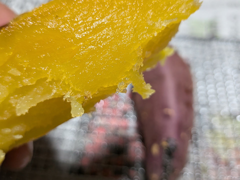 【焼き芋・干し芋向け】紅はるか｜たっぷり使える 5kg（農家こだわりキュアリング済）