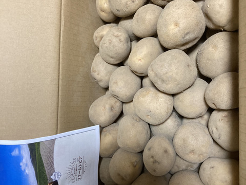 【訳あり】北海道産キタアカリ10キロ