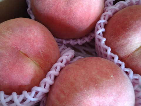 とにかく川中島白桃が食べたいあなたへ！ 8月下旬～9月中旬頃発送 ★特秀品★ 白桃 約2㎏ （5玉～8玉入り）  KANK01-01-01