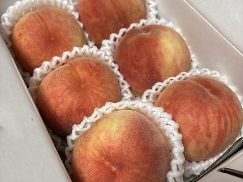 【超特価】１.２ｋｇ（５~６個位）「あかつき」８月１０日販売終了