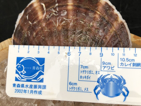 旨くてあまい！4年貝野辺地ホタテ！20枚