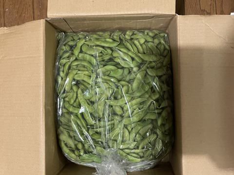 【香りバツグン！】  枝豆の名産地 新潟黒埼産 朝採り肴豆 B品（規格外）3.0kg