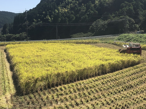 【令和5年】｢新米｣ヒノヒカリ 5kg
『50名限定』イノシシから守り抜いたお米です。byさわちゃん農園