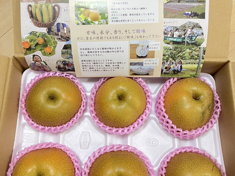 m232 痛ましい 10キロ 山梨県産 訳あり 6〜8玉 2キロ箱入り