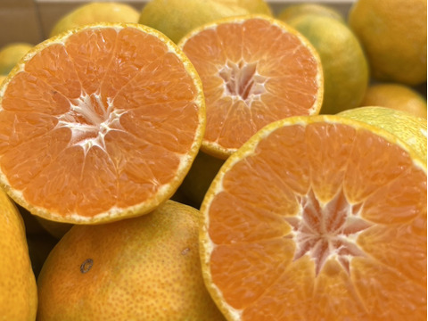 果汁たっぷり！！食べてみらんね太良みかん
3㎏（Lから2S家庭用約30個)