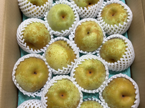 クール便　酸味少なくサッパリ　秋麗梨 5k箱 16玉