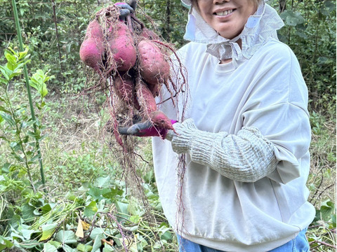 【農薬化学肥料不使用】一カ月熟成ねっとり紅はるか・皮までおいしい 2キロ