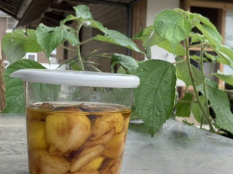 自然栽培　生にんにく　１ｋｇ