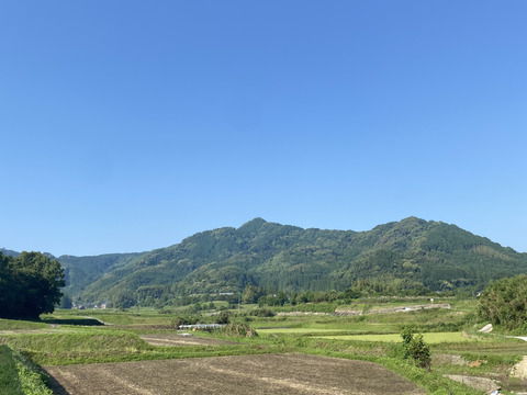 熊本県産‼︎肥後グリーンメロン2玉入り(約2.5kg×2)