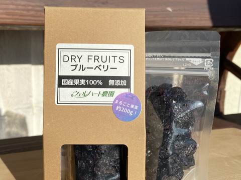 【国産100%無添加】ブルーベリーのドライフルーツ(30g×2箱)