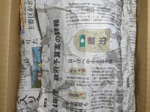 ホウレンソウと茎立ち