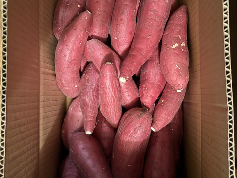 ねっとり極甘さつまいも！熟成紅はるか約5kg（S~2Lサイズ不揃い詰め合わせ）