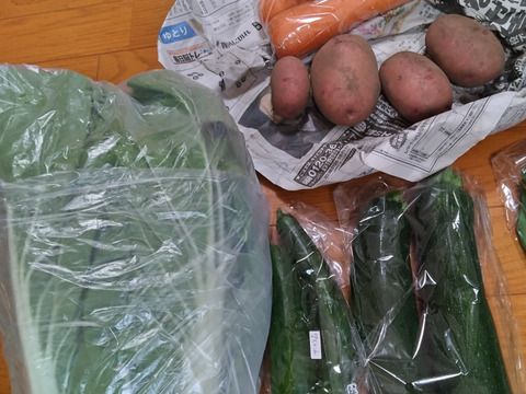 👑2年連続アワード受賞👑【未来をつくる笑み野菜】宮崎県産☆季節のお野菜セットM(8～9品程度)☆