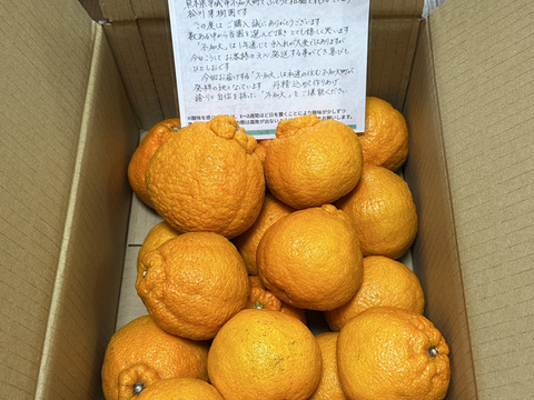 【母の日ギフト】デコポン発祥地から不知火５kg（家庭用）〜雑誌「MORE」に掲載されました〜
