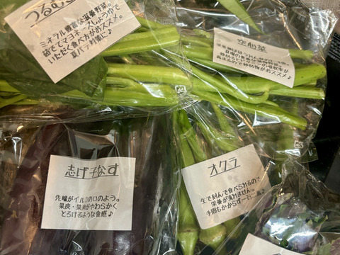 【自然栽培】【5種】南信州/飯田から旬の野菜セット