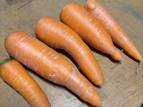 『訳あり』形悪くたって食べて欲しい人参 5kg