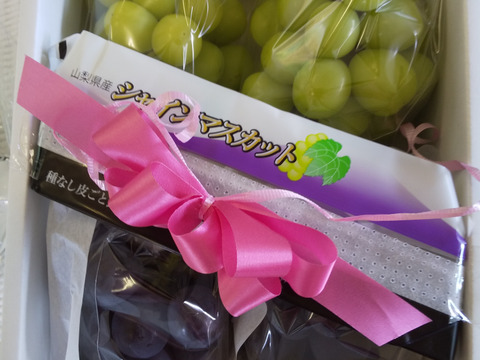 9月中下発送20名様限定予約商品：（巨峰+シャインマスカッツト）約1.8㎏