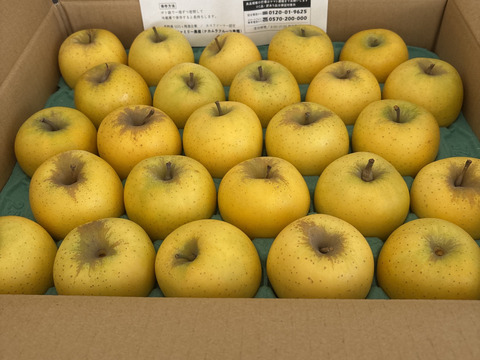 【正直人気はないですが旨いです！】シナノゴールド5キロ箱使用 小玉 23～33玉 ID86200 長野県 信州 安曇野 リンゴ 幻 幻のリンゴ 予約 希少 旬