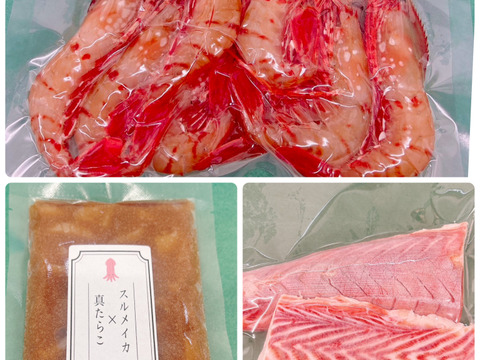 【セット】ボタンエビ×スルメイカ真鱈子×アブラツノザメ剥き身 各1P