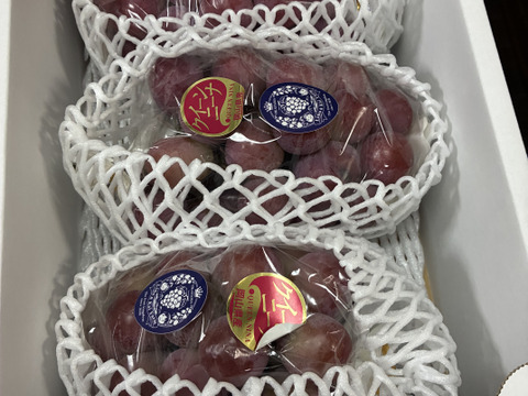 これで今年最終！食べチョクアワード 4年連続受賞！】※ご家庭用 希少