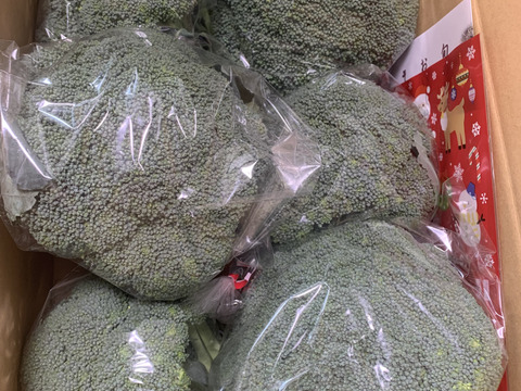 栄養満点最強野菜❗️淡路島産ブロッコリー🥦（6個）
