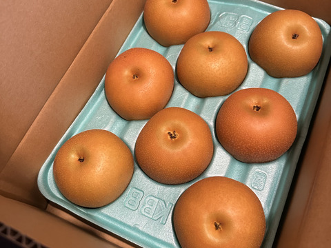 家庭用　あきづき梨　3kg　あま〜〜い梨