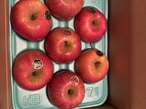 權之丞の葉取らずミックス！　🏆2025年りんごGP金賞受賞🎊葉取らず高徳&葉取らずコスモふじ　家庭用2kg【5〜10個入り】