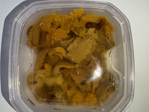 【4～6月限定】旬の味！塩水うに100ｇ