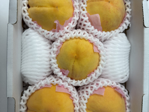 🍑おかやまの桃　ゴールデンピーチ　お試しサイズ　小箱【4〜9個】【ご自宅用】