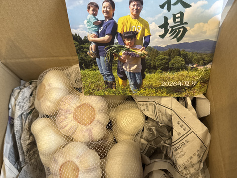 にんにくの概念が変わる!「生にんにく」12玉【数量限定】6月中旬以降お