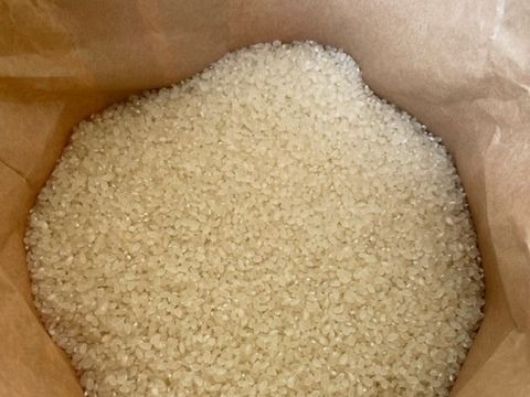 令和5年産　山形県産　つや姫　5kg  お米　5kg