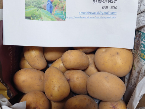 黄金のじゃがいも！ インカのめざめ 2㎏：神奈川県産のインカのめざめ
