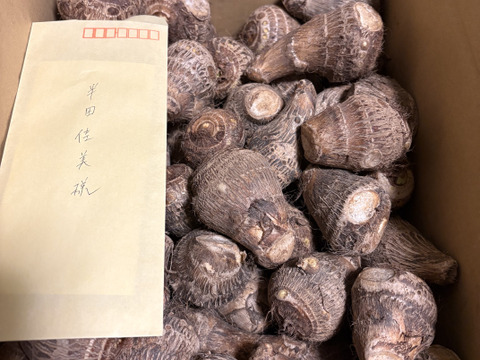 おおふくの里芋 5キロ 〜ねっとりおいしい！〜 京都府産農薬不使用有機肥料栽培